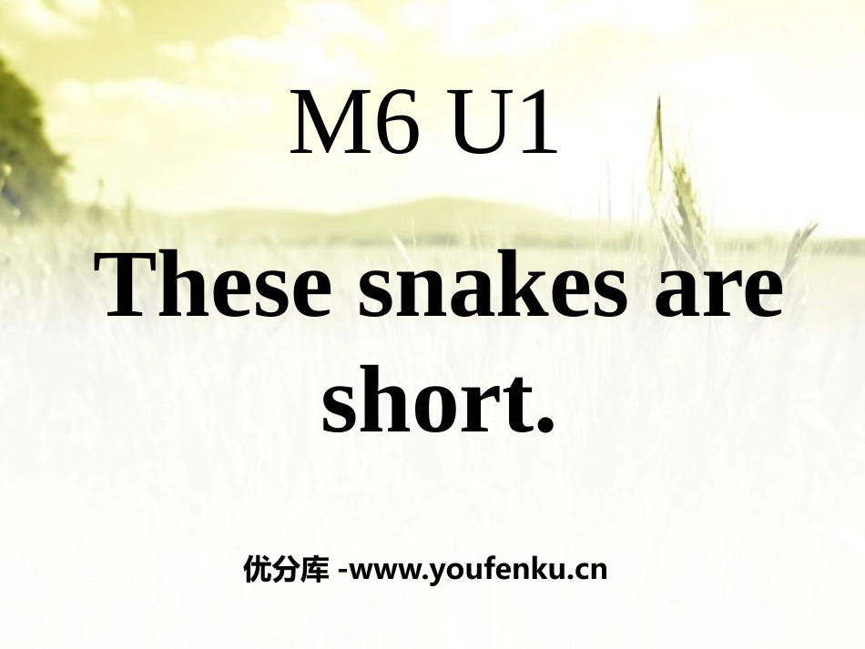 《These snakes are short》PPT课件_第1页