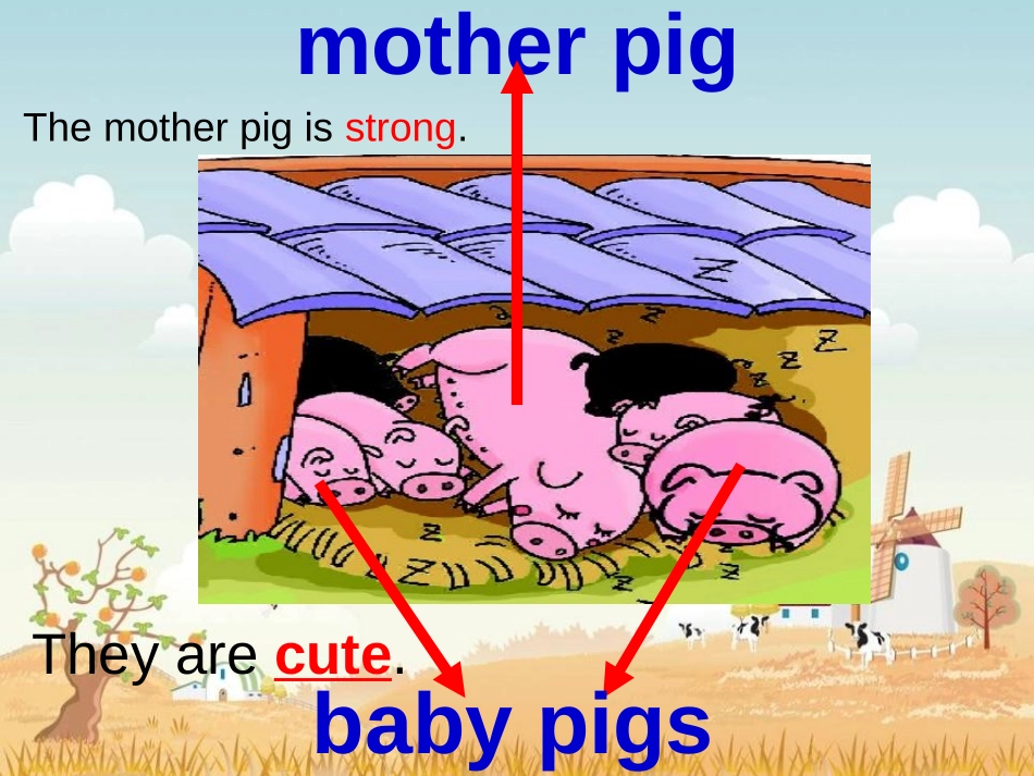 《They’re little and cute》PPT课件_第3页