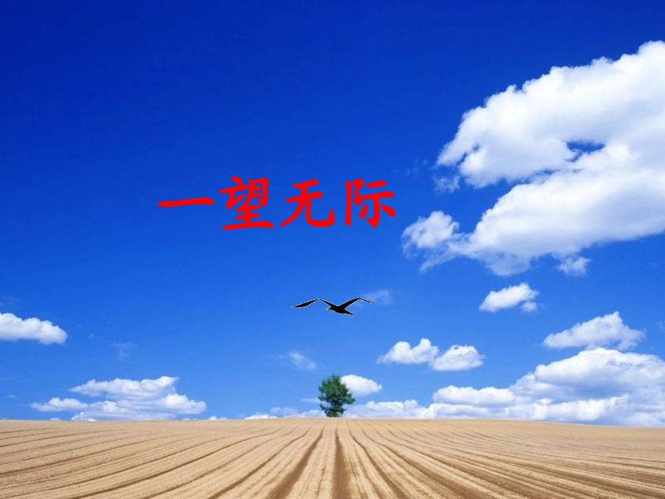 《有趣的成语》PPT课件[西师大版二年级语文上册]_第2页