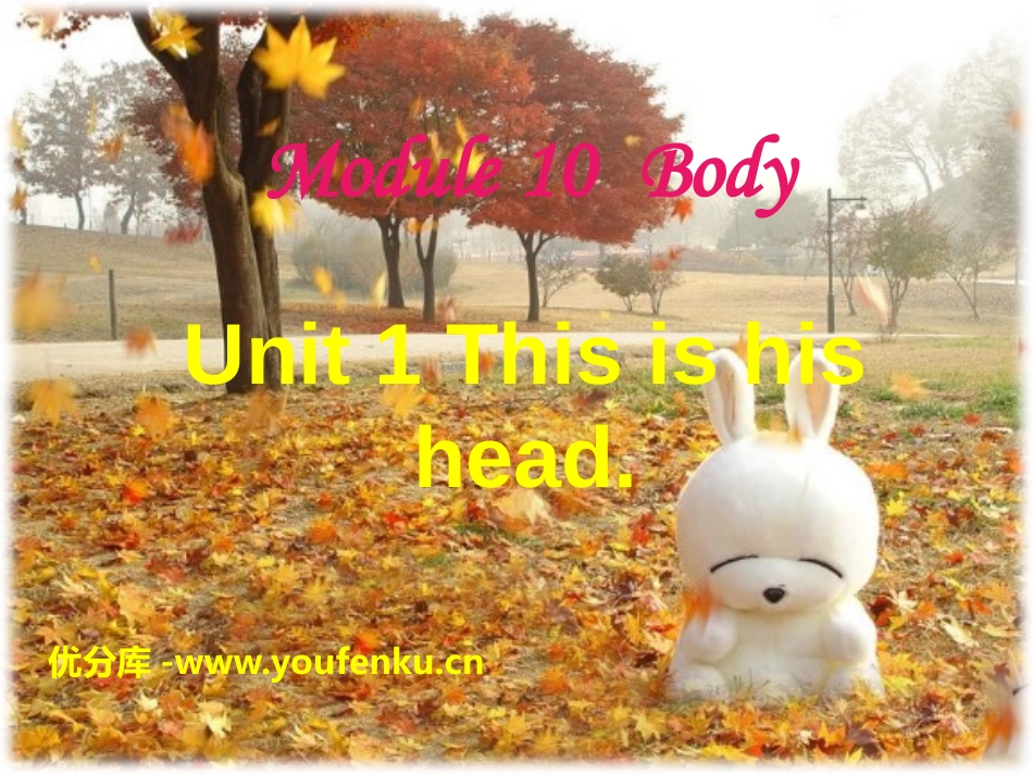 《This is his head》PPT课件[外研版三年级英语]_第1页