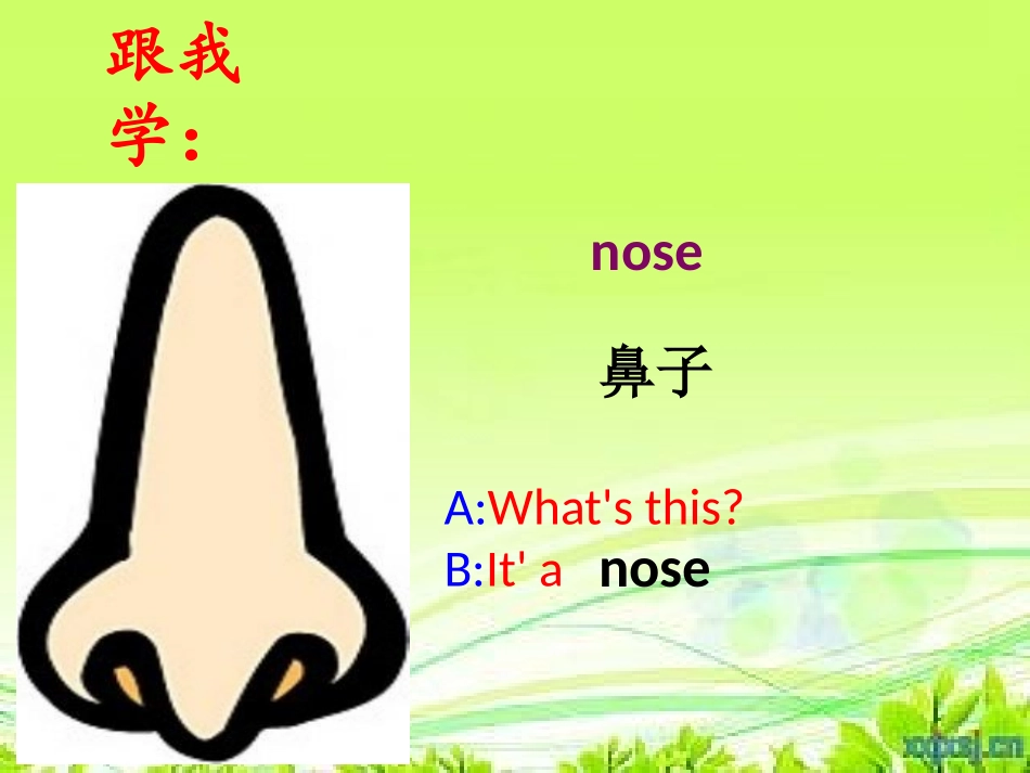 《Point to her nose》PPT课件_第2页