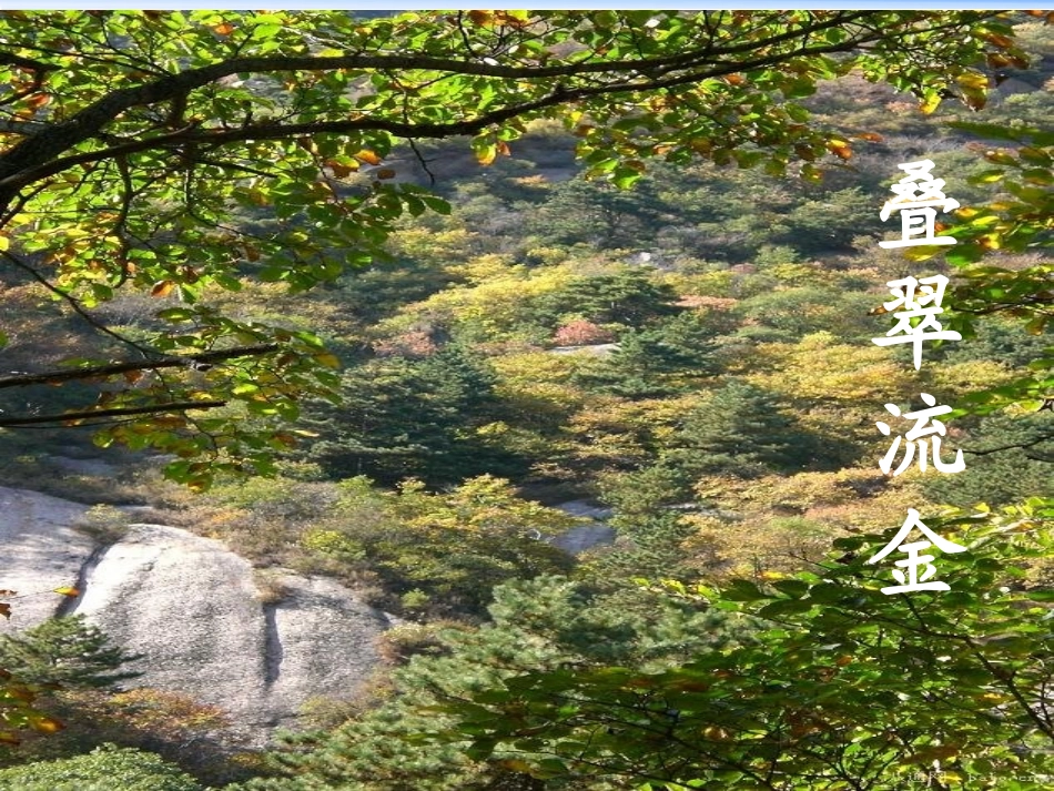 《秋天的图画》PPT教学课件[部编版二年级语文上册]_第3页