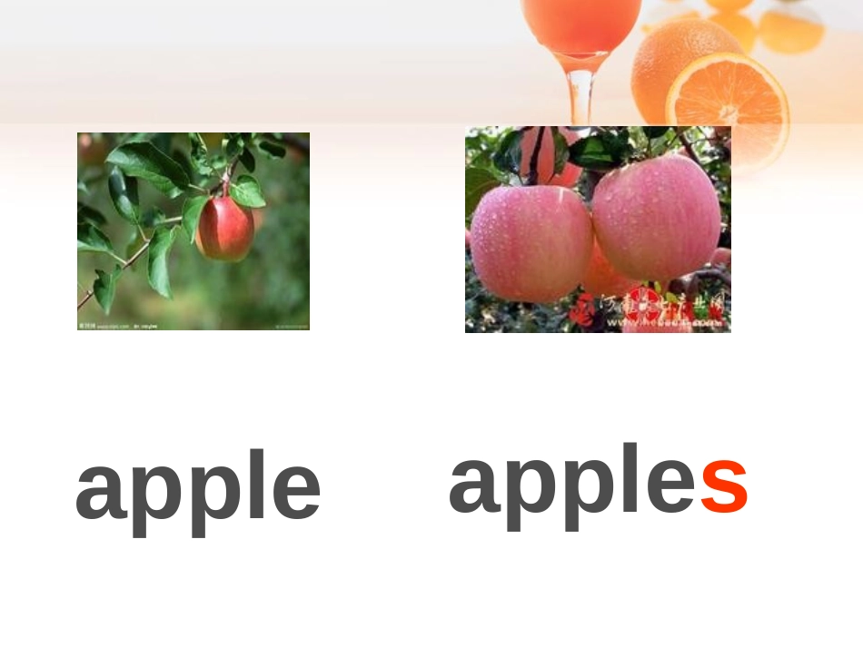 《Does Lingling like oranges?》PPT课件_第3页