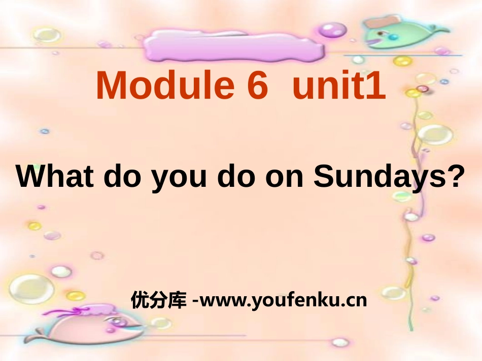 《What do you do on Sundays?》PPT课件_第1页