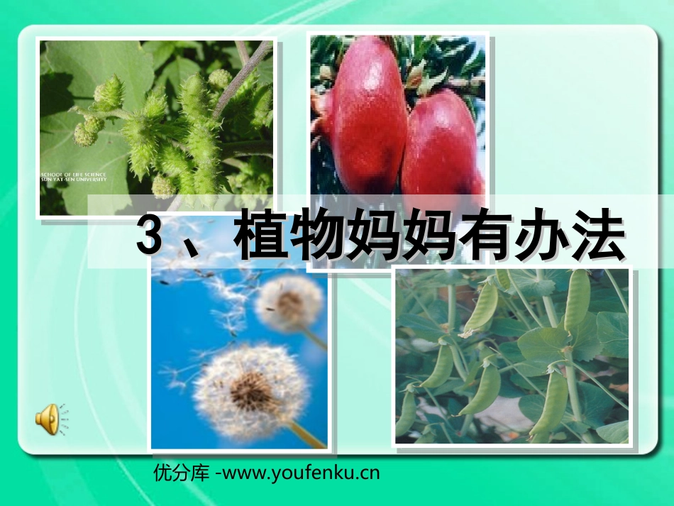 《植物妈妈有办法》PPT教学课件[部编版二年级语文上册]_第1页
