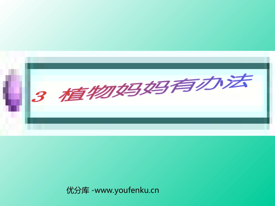 《植物妈妈有办法》PPT教学课件[部编版二年级语文上册]_第1页