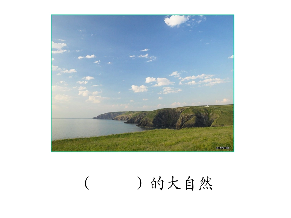 《植物妈妈有办法》PPT教学课件[部编版二年级语文上册]_第2页