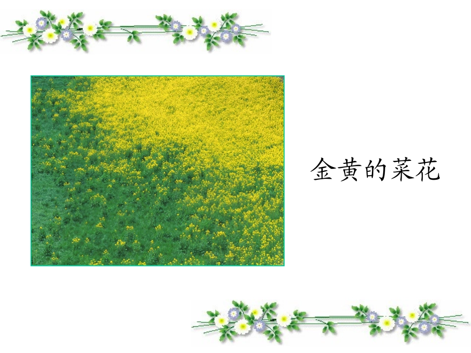 《植物妈妈有办法》PPT教学课件[部编版二年级语文上册]_第3页