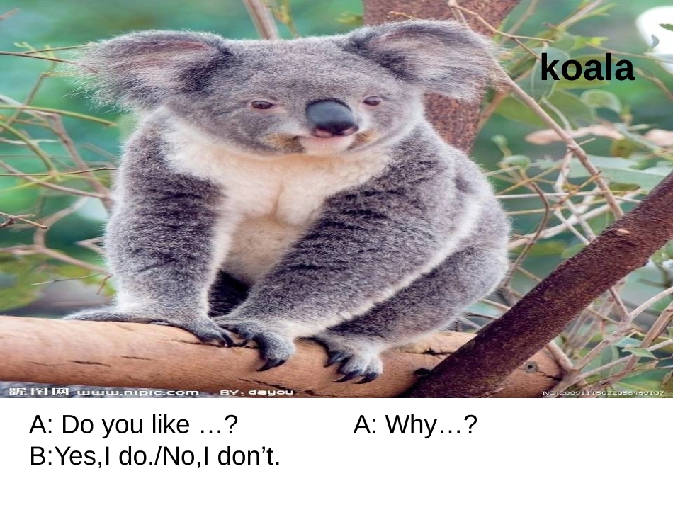 《Why do you like Australia?》PPT课件_第3页