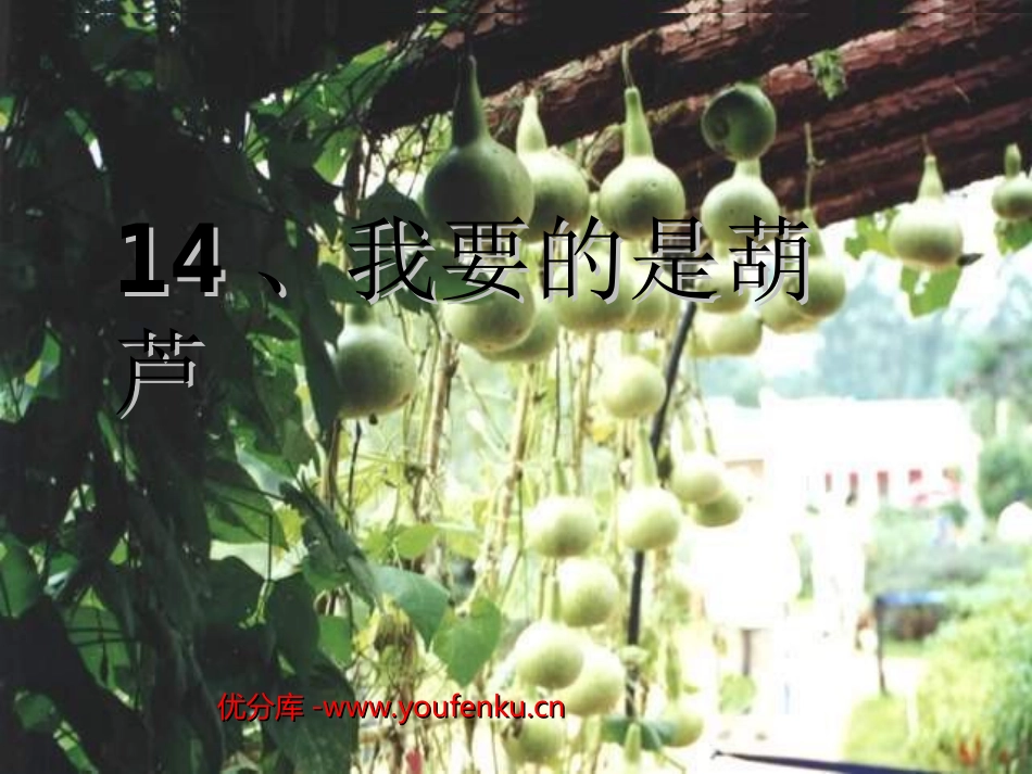 《我要的是葫芦》PPT教学课件[部编版二年级语文上册]_第1页