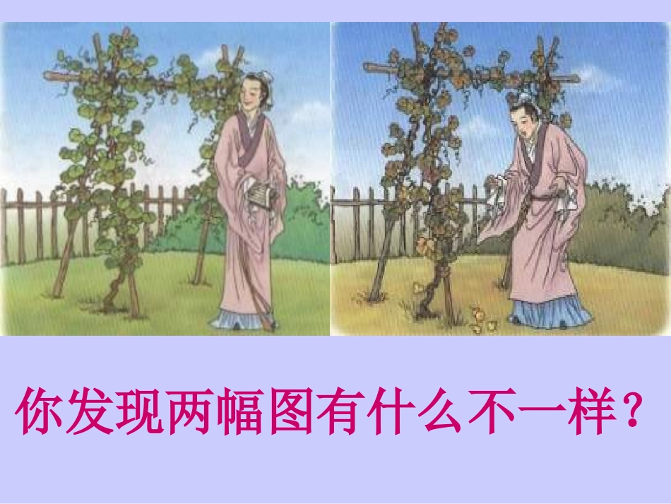 《我要的是葫芦》PPT教学课件[部编版二年级语文上册]_第2页