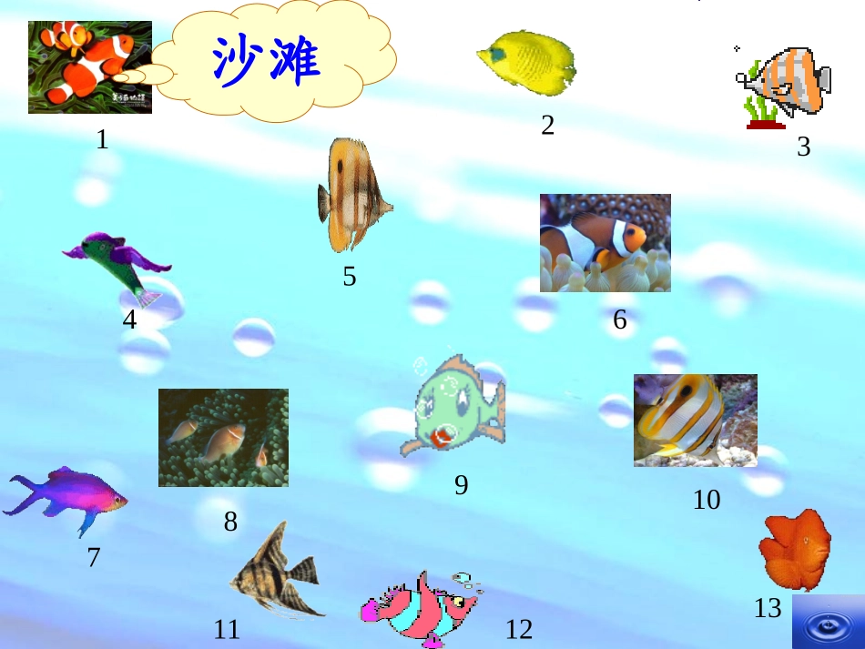 《浅水洼里的小鱼》PPT教学课件[部编版二年级语文上册]_第3页