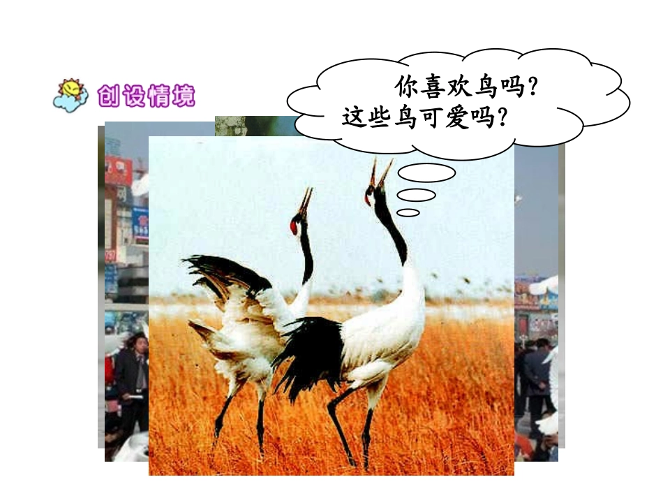 《父亲和鸟》PPT教学课件[部编版二年级语文上册]_第2页