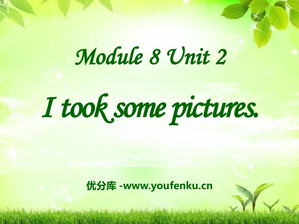 《I took some pictures》PPT课件_第1页