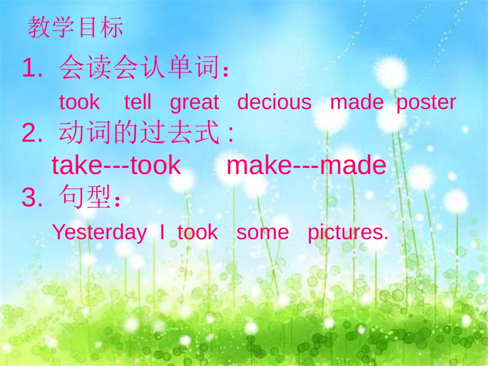 《I took some pictures》PPT课件_第2页