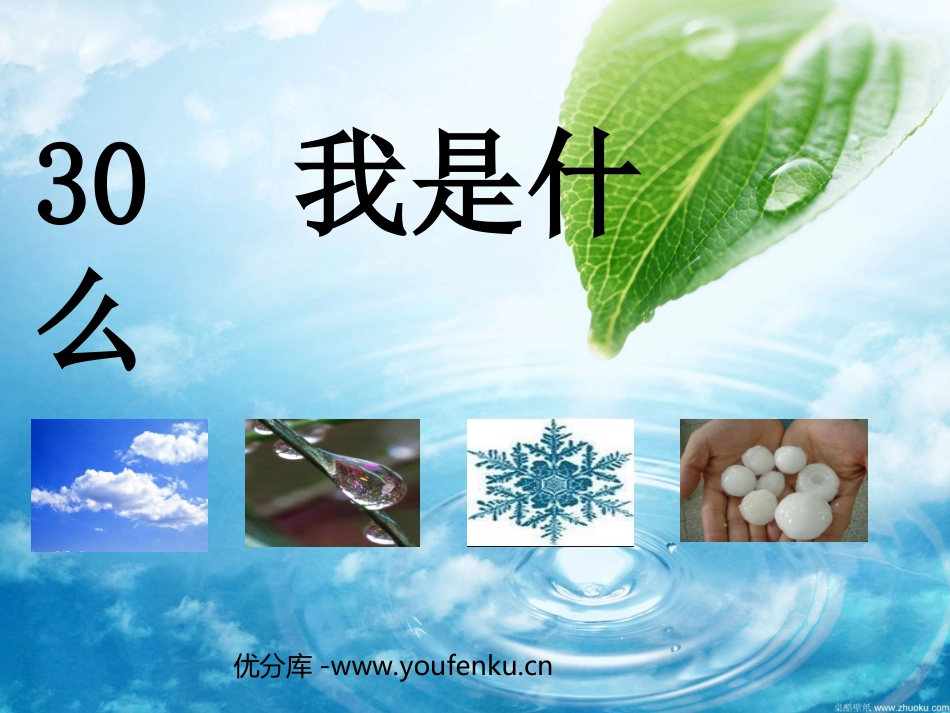 《我是什么》PPT教学课件[部编版二年级语文上册]_第1页