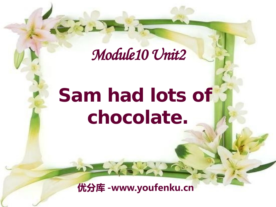 《Sam had lots of chocolates》PPT课件_第1页