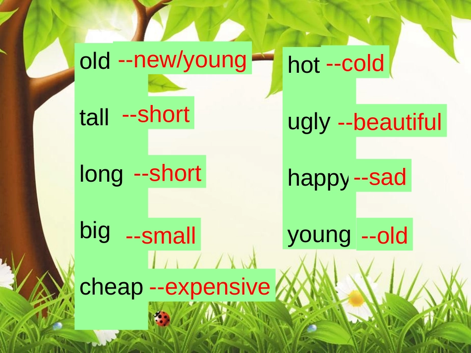 《There are tall trees now》PPT课件_第3页