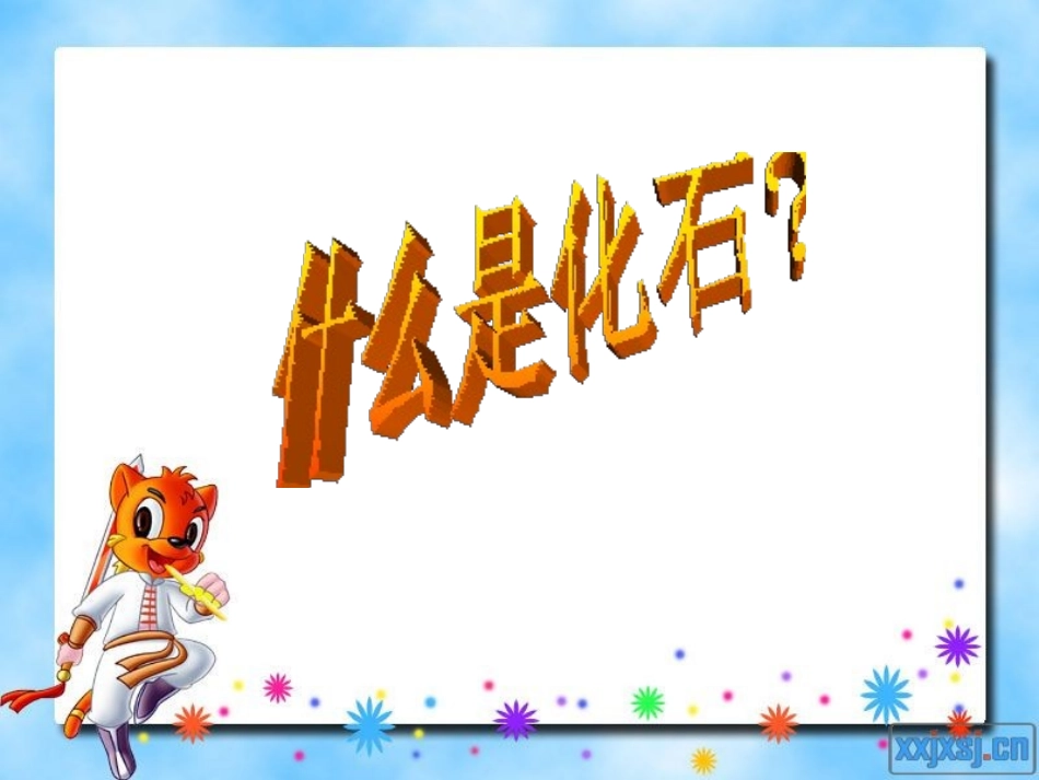 《活化石》PPT教学课件[部编版二年级语文上册]_第2页