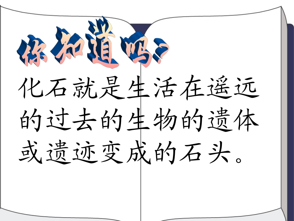 《活化石》PPT教学课件[部编版二年级语文上册]_第3页