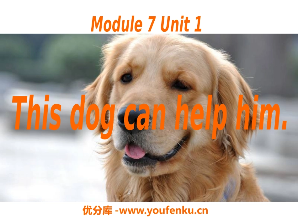 《This dog can help him》PPT课件_第1页