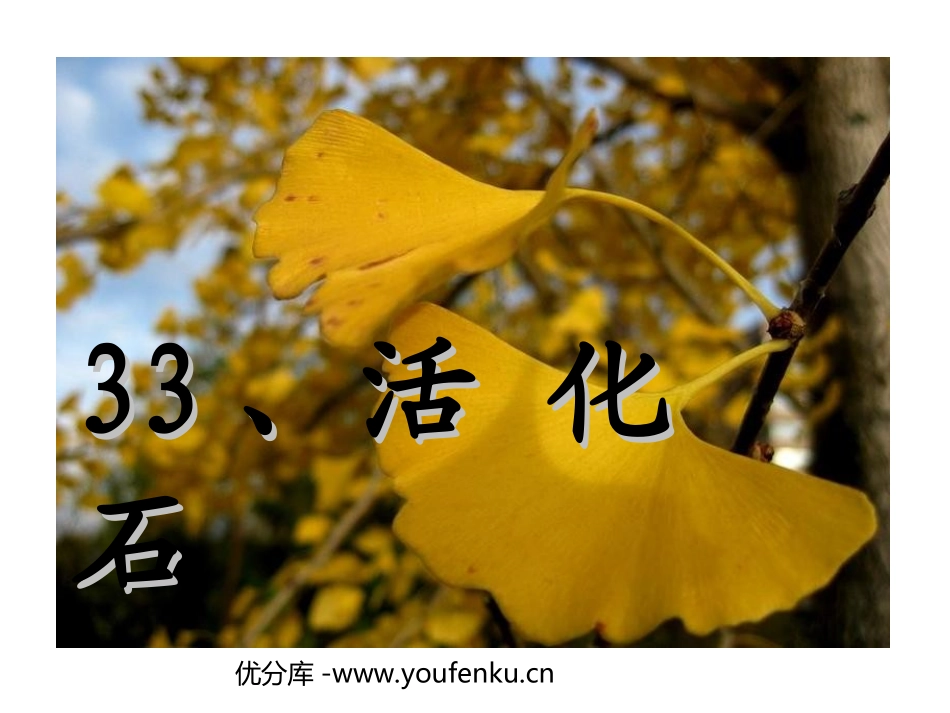 《活化石》PPT教学课件[部编版二年级语文上册]_第1页