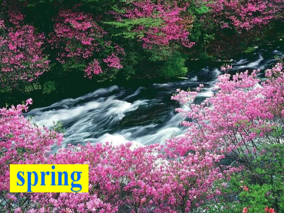《My favourite season is spring》PPT课件_第2页