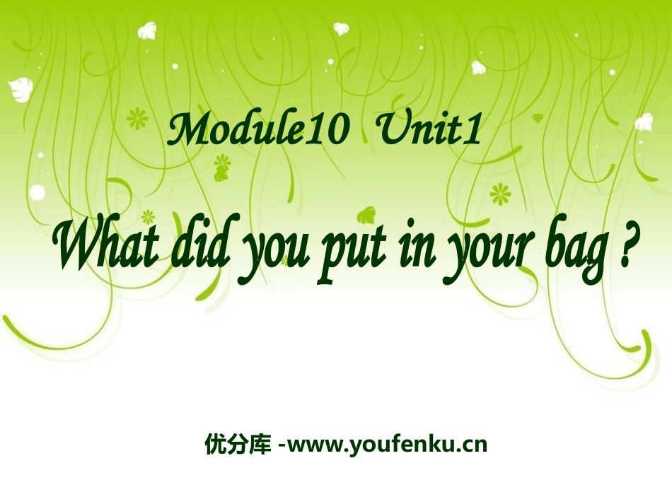 《what did you put in your bag?》PPT课件_第1页
