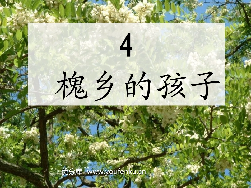《槐乡的孩子》PPT教学课件[部编版三年级语文上册]_第1页