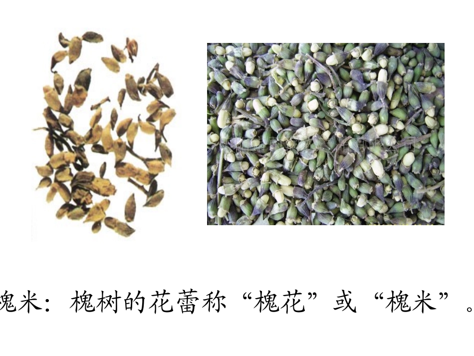 《槐乡的孩子》PPT教学课件[部编版三年级语文上册]_第3页