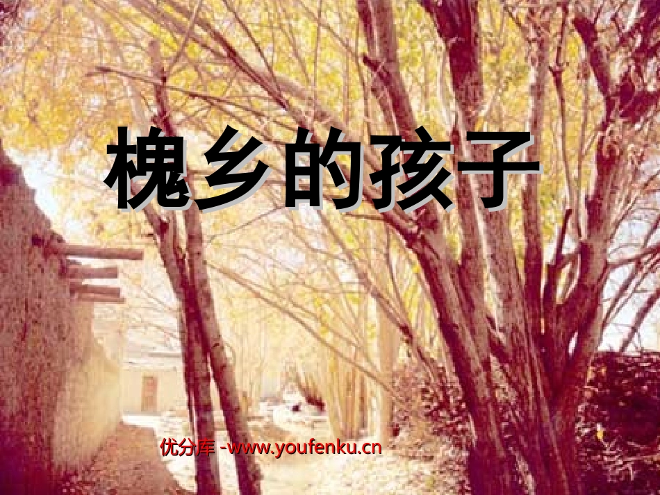 《槐乡的孩子》PPT教学课件[部编版三年级语文上册]_第1页