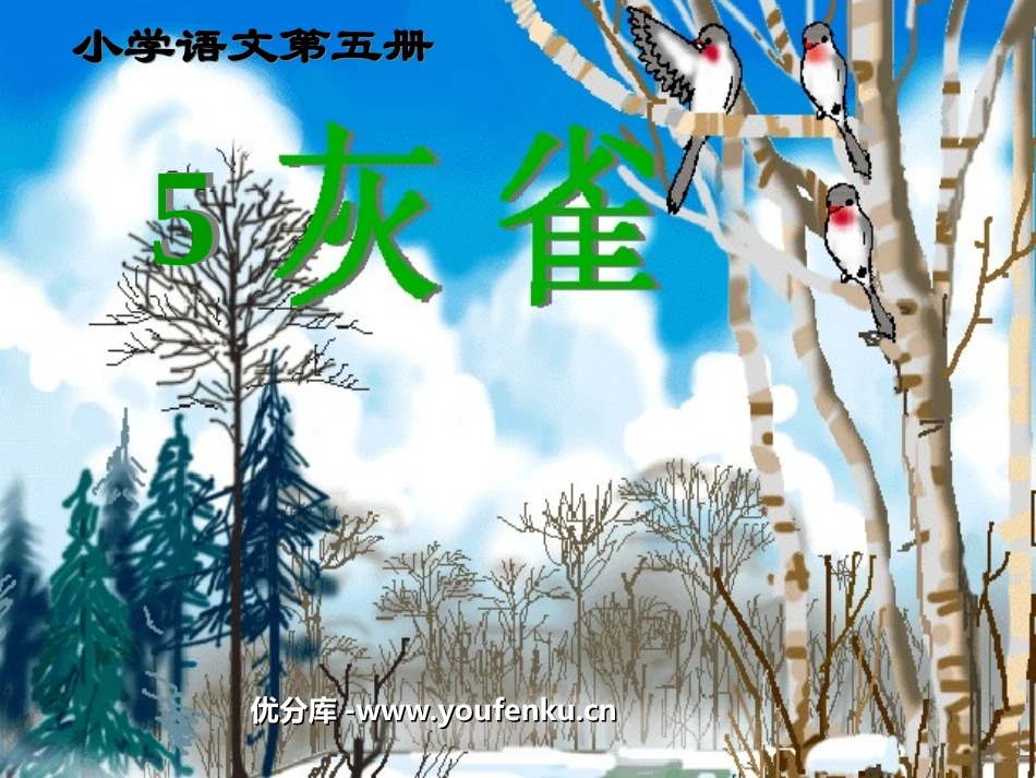 《灰雀》PPT教学课件[部编版三年级语文上册]_第1页