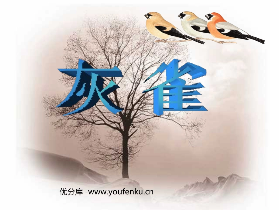 《灰雀》PPT教学课件[部编版三年级语文上册]_第1页