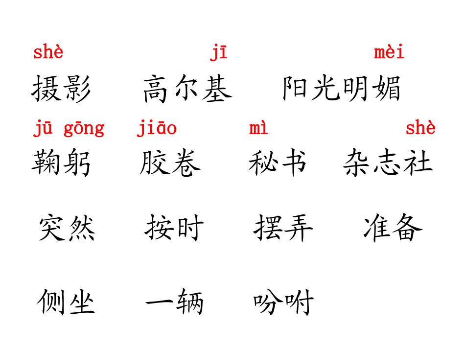 《小摄影师》PPT教学课件[部编版三年级语文上册]_第3页
