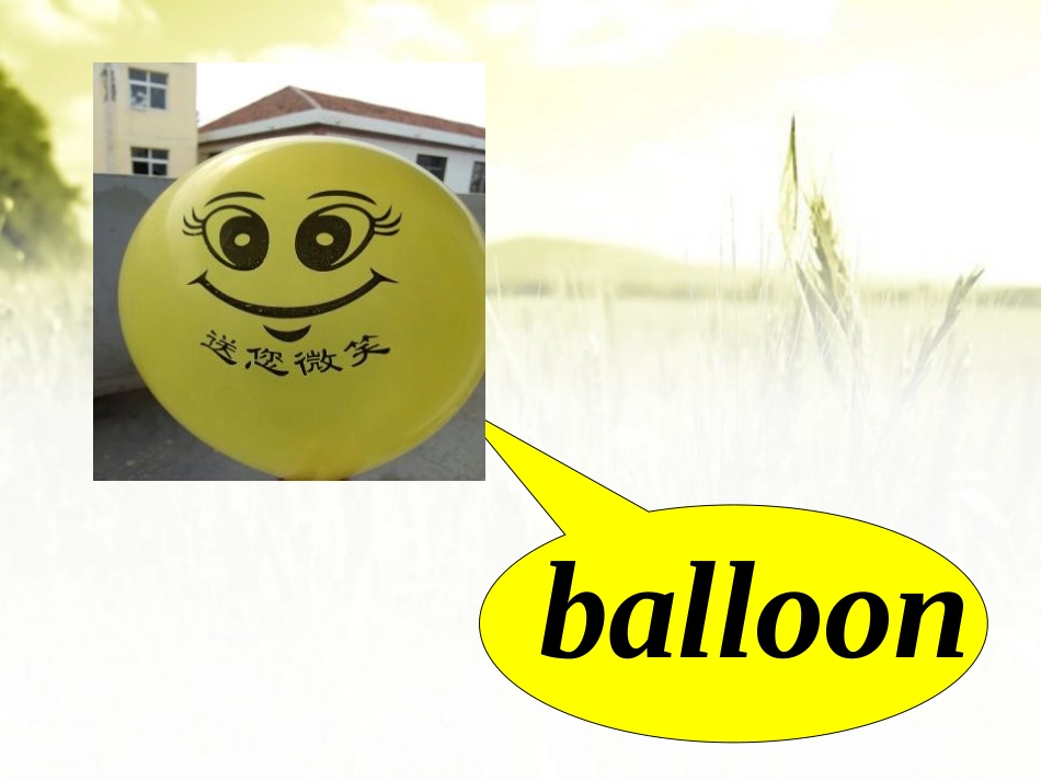 《The balloons are flying away》PPT课件_第2页