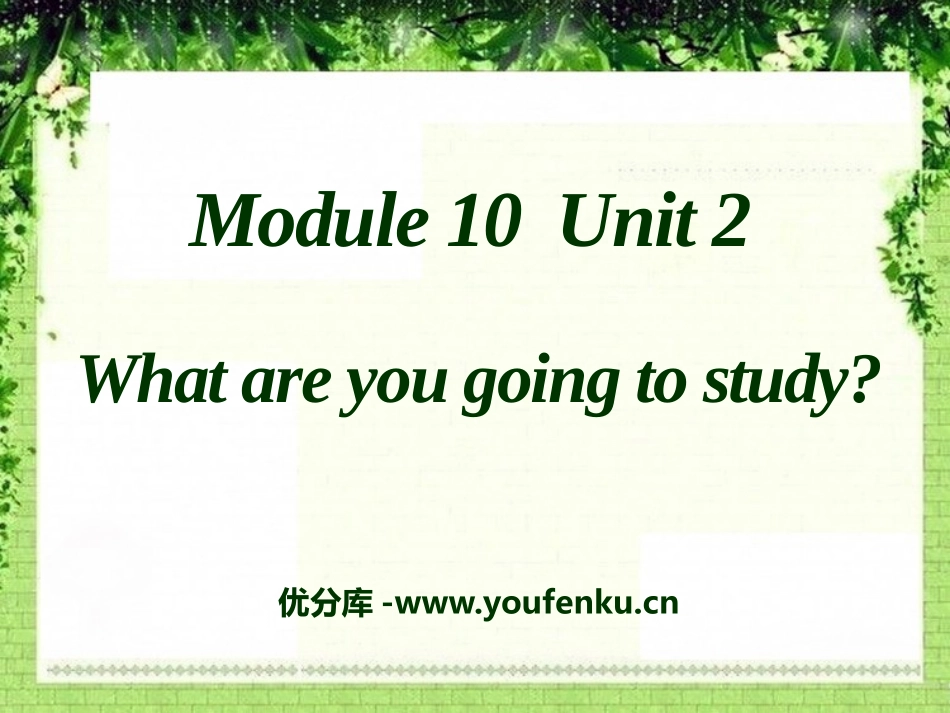《What are you going to study?》PPT课件_第1页