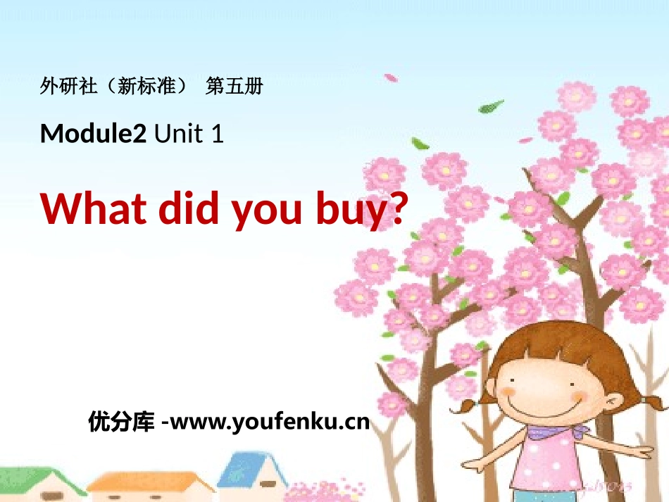 《What did you buy?》PPT课件_第1页