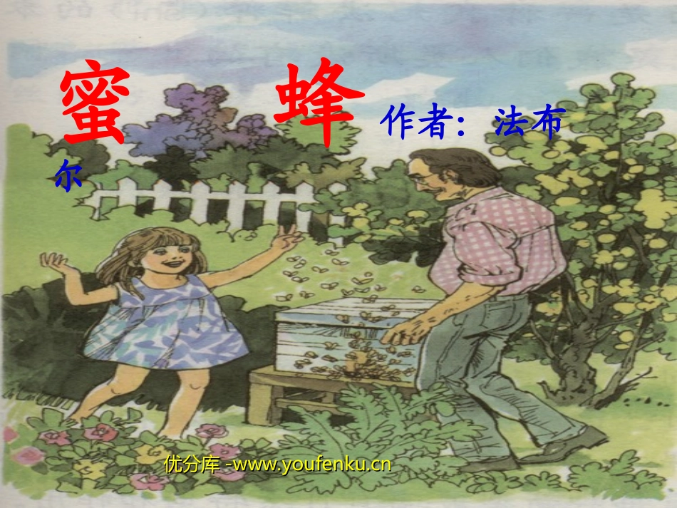 《蜜蜂》PPT教学课件[部编版三年级语文上册]_第1页