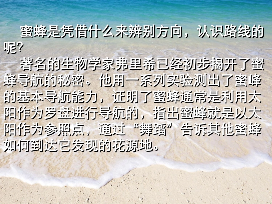 《蜜蜂》PPT教学课件[部编版三年级语文上册]_第3页