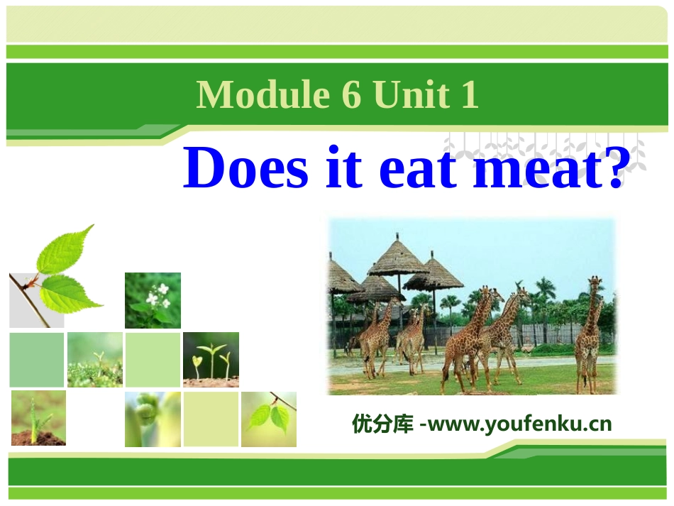 《Does it eat meat?》PPT课件_第1页