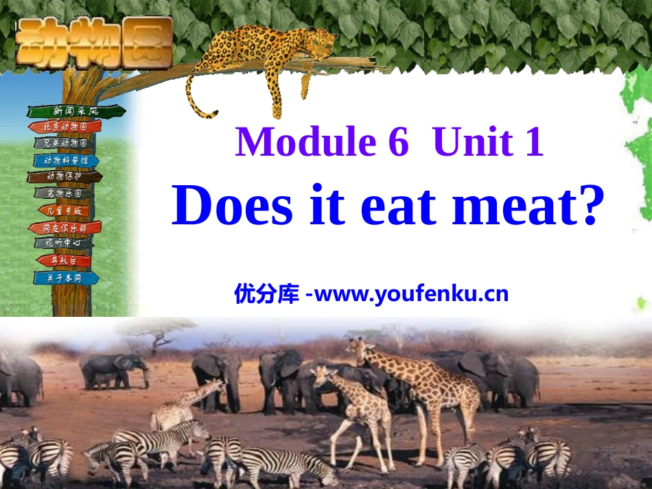 《Does it eat meat?》PPT课件_第1页