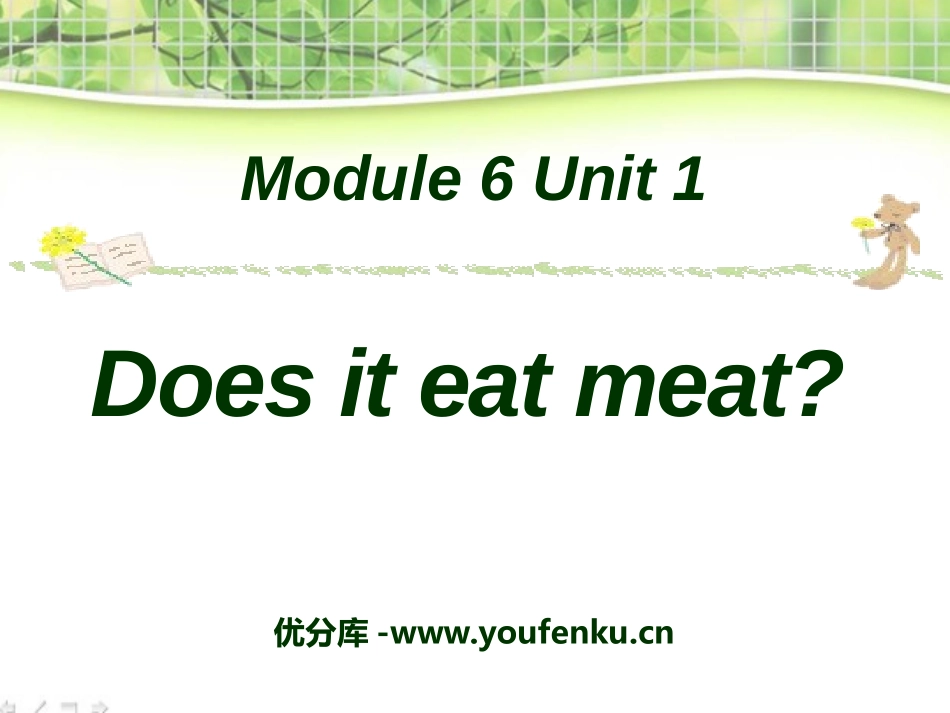 《Does it eat meat?》PPT课件_第1页