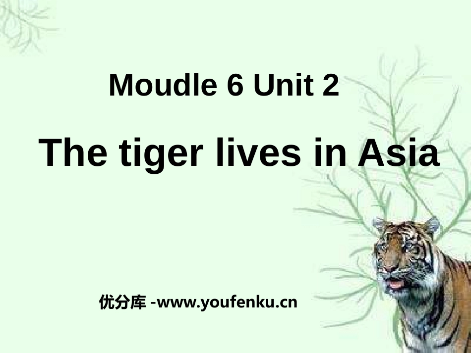 《The tiger lives in Asia》PPT课件_第1页