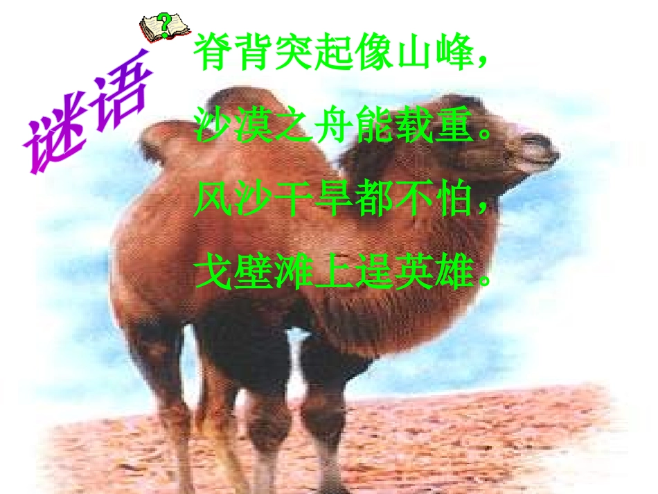 《找骆驼》PPT教学课件[部编版三年级语文上册]_第2页