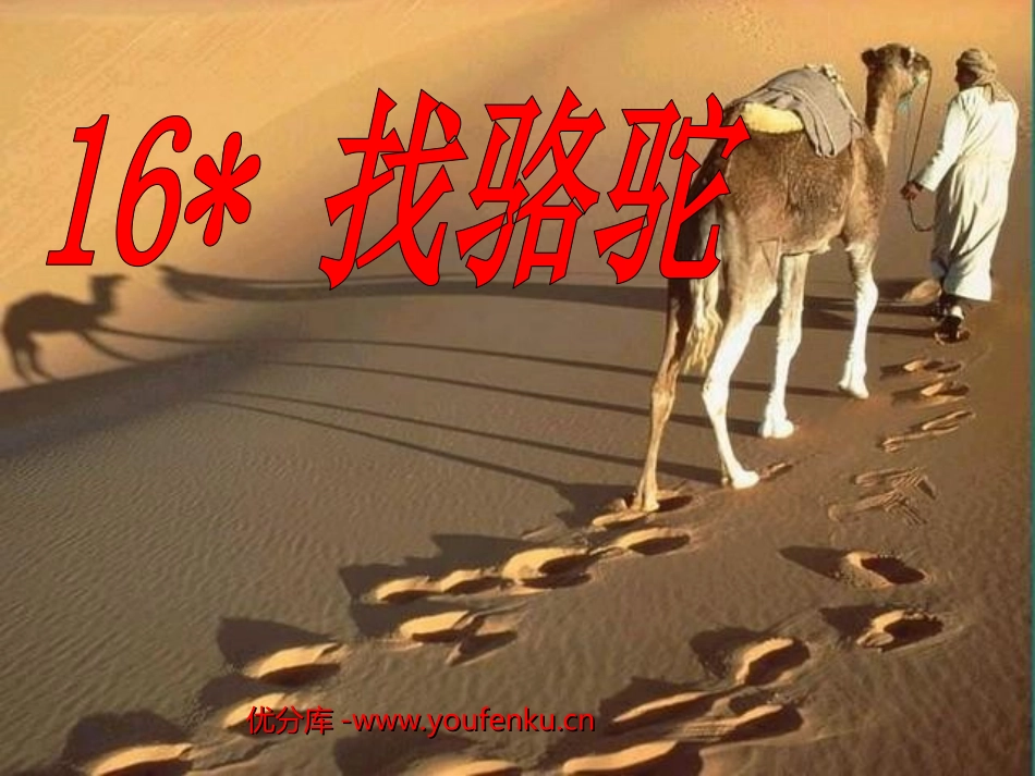 《找骆驼》PPT教学课件[部编版三年级语文上册]_第1页