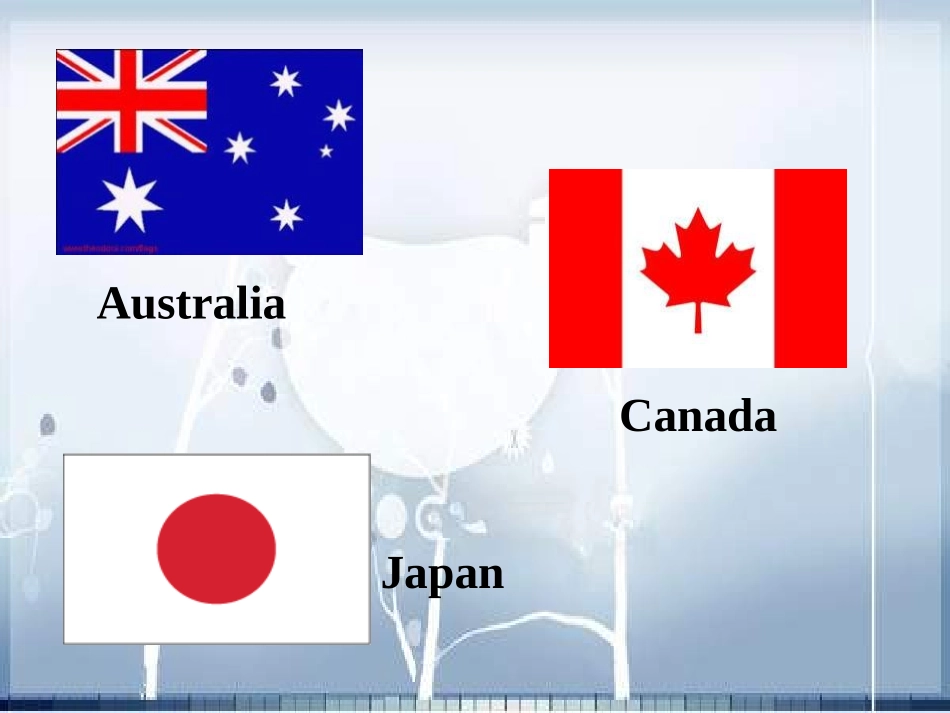 《Language in use》My classmates PPT课件_第3页