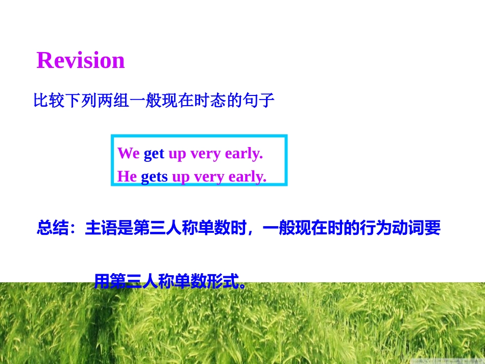 《Language in use》A trip to the zoo PPT课件_第2页