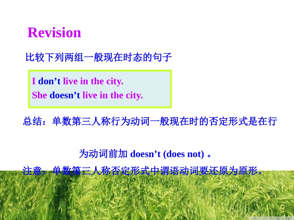 《Language in use》A trip to the zoo PPT课件_第3页