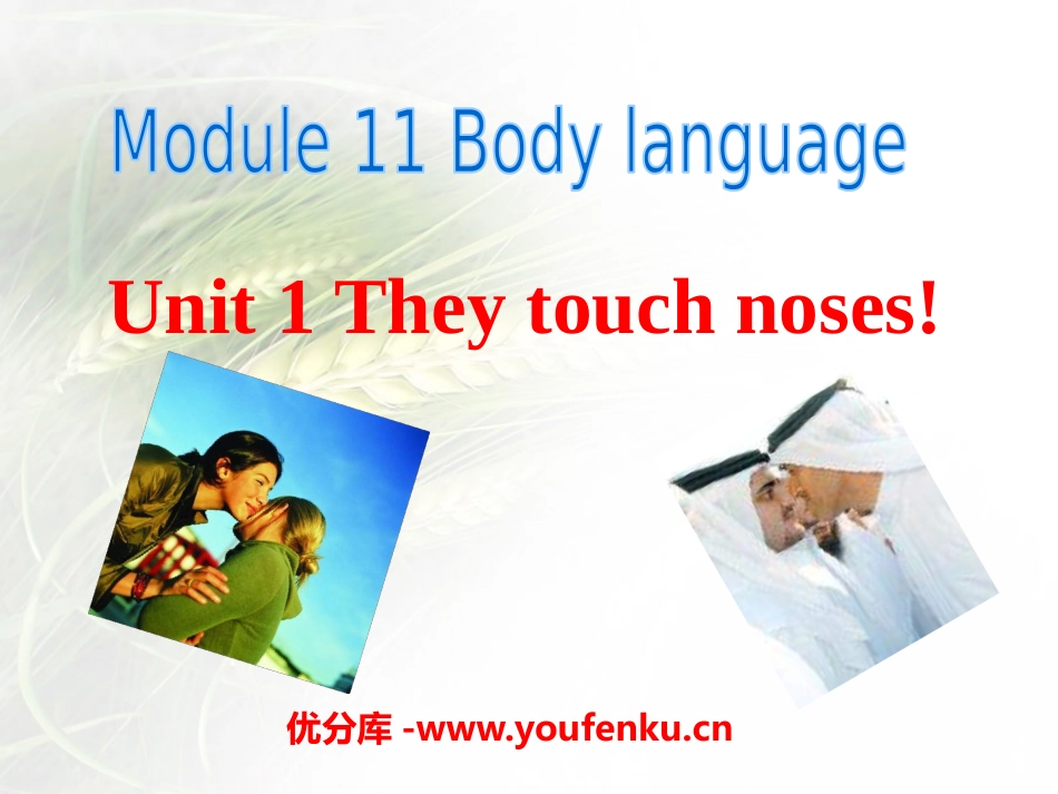 《They touch noses》Body language PPT课件_第1页