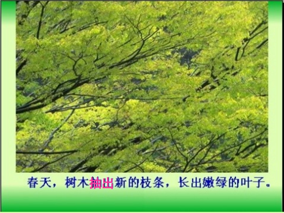 《美丽的小兴安岭》PPT教学课件[部编版三年级语文上册]_第3页